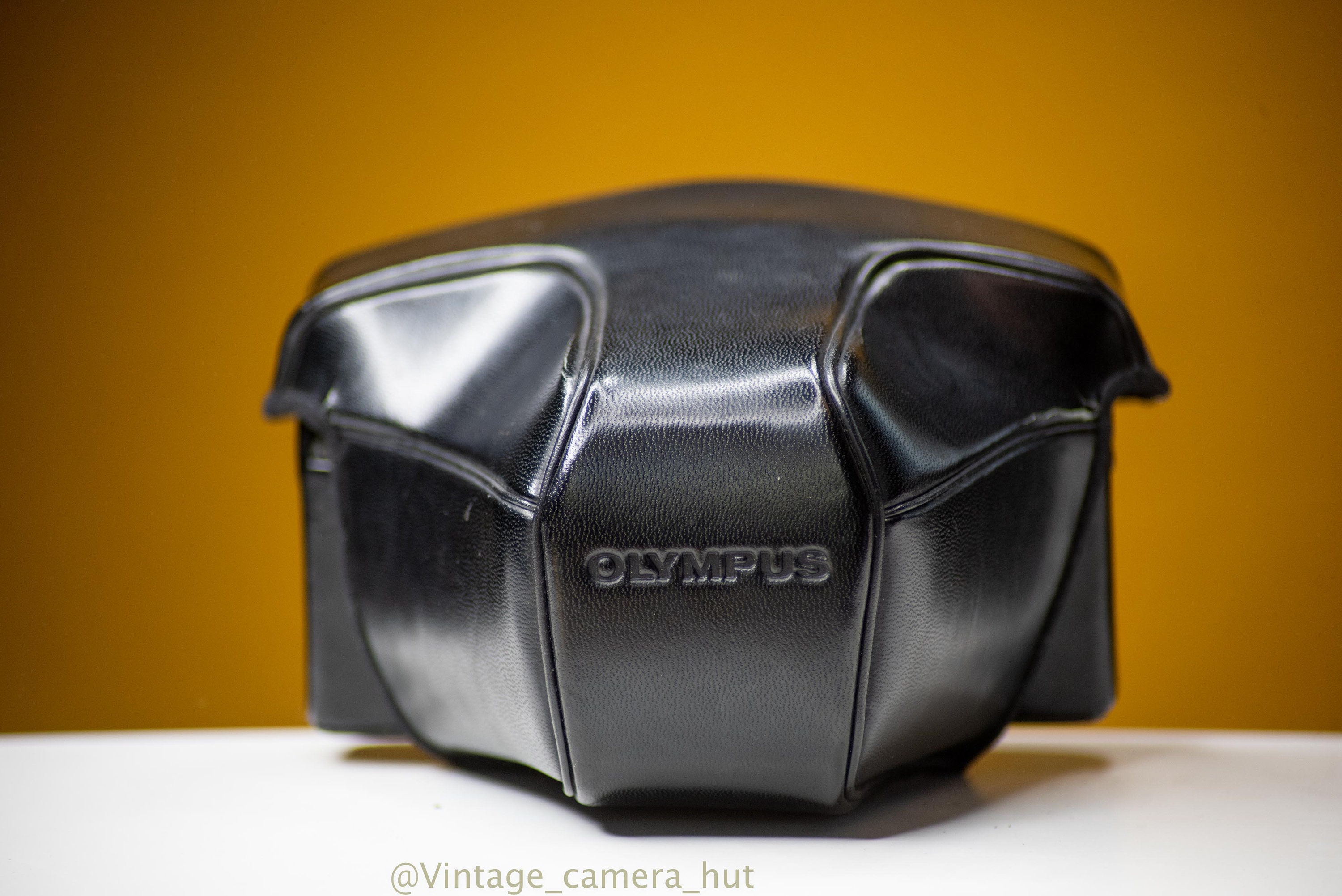 Olympus om 1 camera case - Etsy 日本