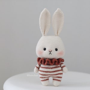 Modèle numérique au crochet Little Bunny 2023 Modèle Amigurumi DIY en téléchargement immédiat au format PDF Idées mignonnes de motifs au crochet image 6