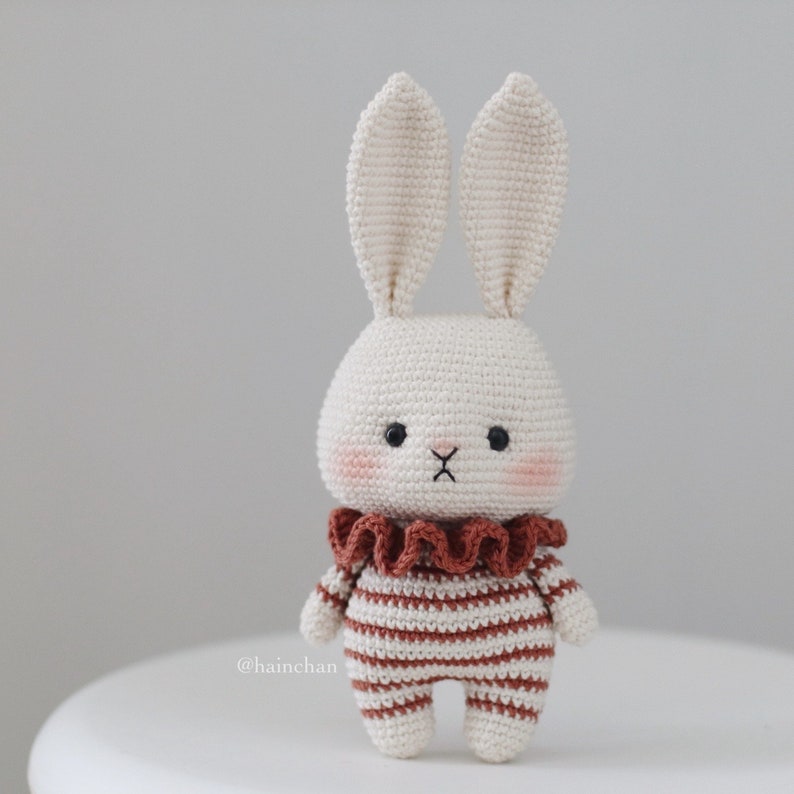 Modèle numérique au crochet Little Bunny 2023 Modèle Amigurumi DIY en téléchargement immédiat au format PDF Idées mignonnes de motifs au crochet image 6