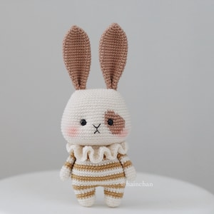 Modèle numérique au crochet Little Bunny 2023 Modèle Amigurumi DIY en téléchargement immédiat au format PDF Idées mignonnes de motifs au crochet image 5