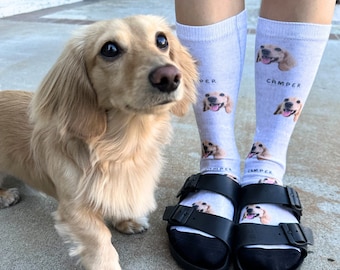 Custom Pet Socks (with name) - Custom Photo Socks, Custom Socks, Personalise Socks, Custom Printed Socks, dog socks, cat socks, animal