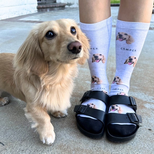 Custom Pet Socks (with name) - Custom Photo Socks, Custom Socks, Personalise Socks, Custom Printed Socks, dog socks, cat socks, animal