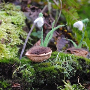 May include: Two miniature snowdrop flowers made from white and green materials, set in a walnut shell filled with brown material. The flowers rest on a bed of vibrant green moss, creating a natural, whimsical scene.