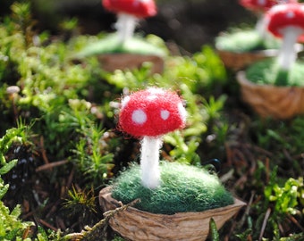 Fliegenpilz in Walnussschale, nadelgefilzt, Herbst Deko, 100% Filzwolle in Walnussschale, Weihnachts Deko, Walnuss