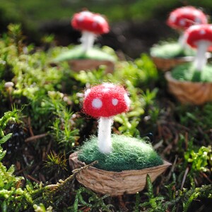 Fly agaric in walnut shell, needle felted, autumn decoration, 100% felt wool in walnut shell, Christmas decoration, walnut