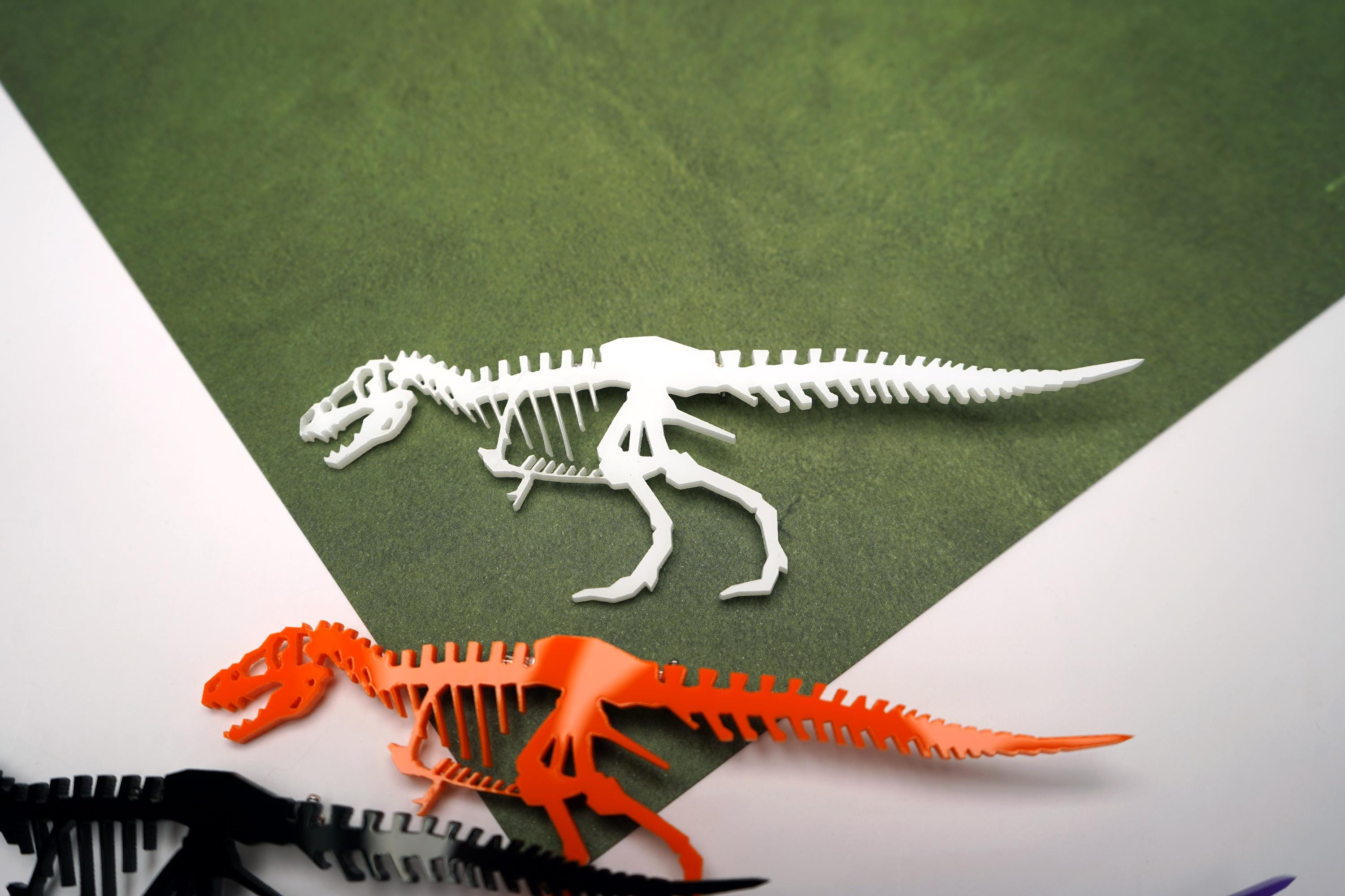 Abaodam Spilla Scheletro Dinosauro in Lega 4