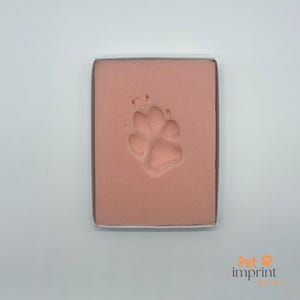 Impression foam plate &quot;Copymeister XS&quot; for paws, hand and footprints