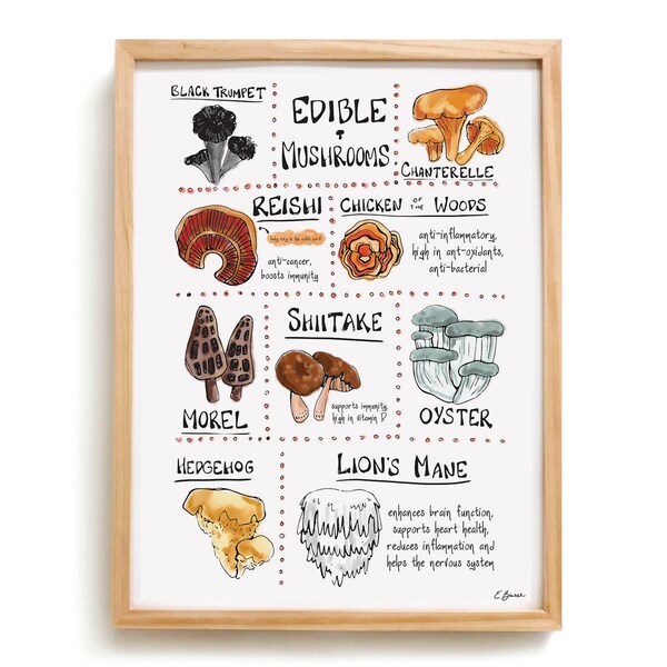 Editable Mushroom Chart - educational poster