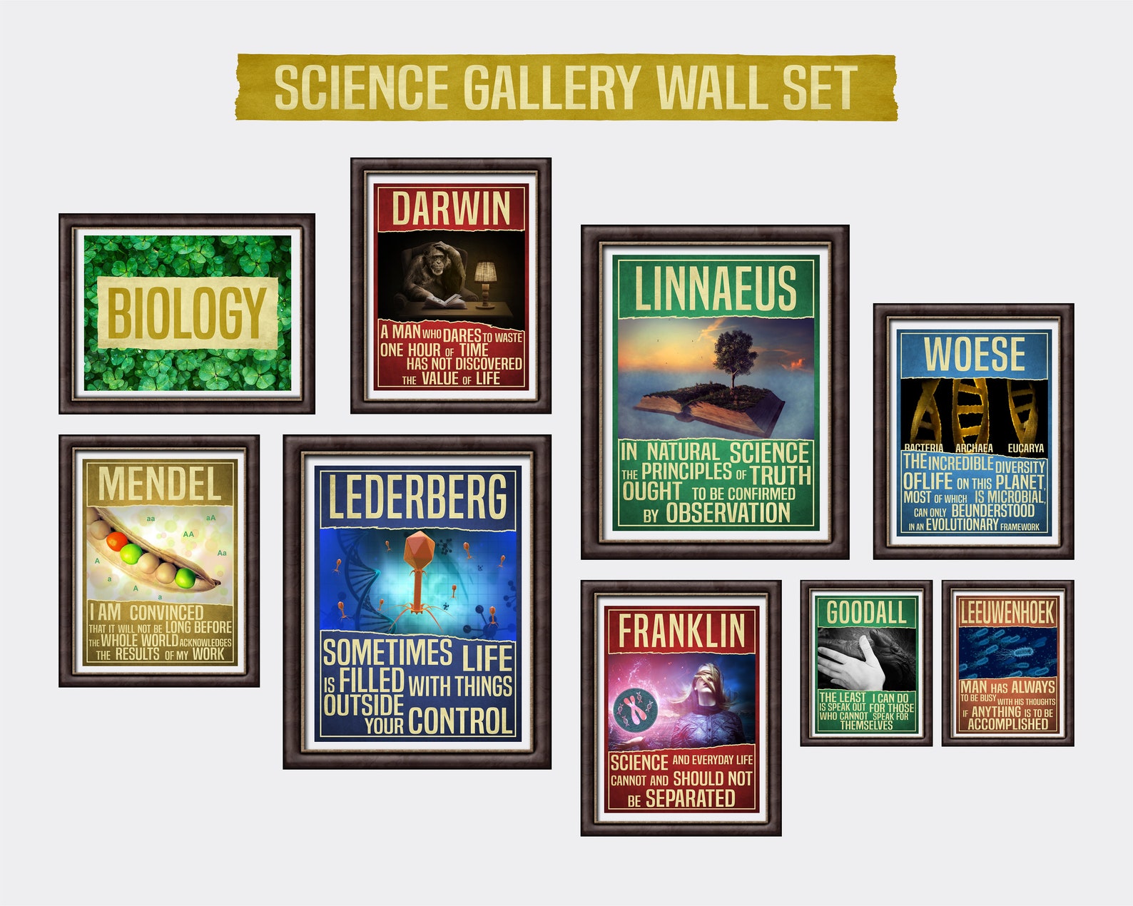 Biology Science Art Сollege Dorm Decor / Biology Decor Science Etsy