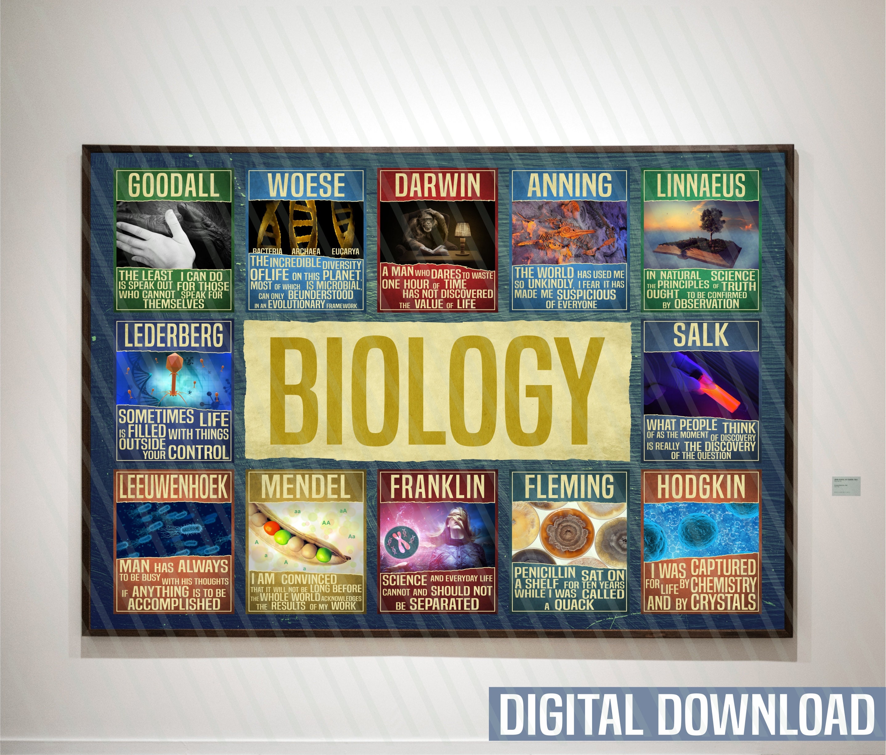 Biology art Science gift Kids room decor / Biology poster Etsy