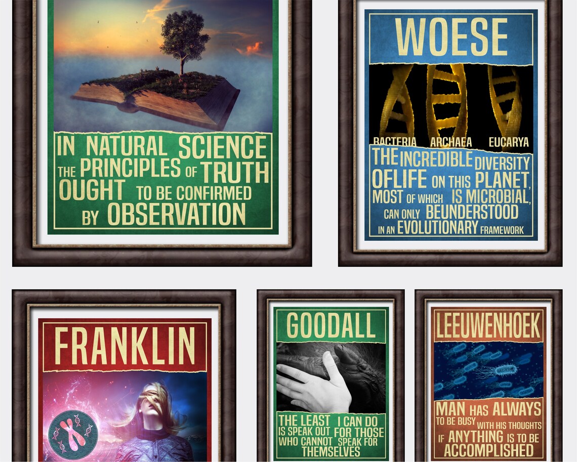 Biology Science Art Сollege Dorm Decor / Biology Decor Science Etsy