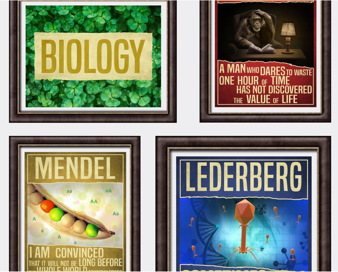 Biology Science Art Сollege Dorm Decor / Biology Decor Science Etsy