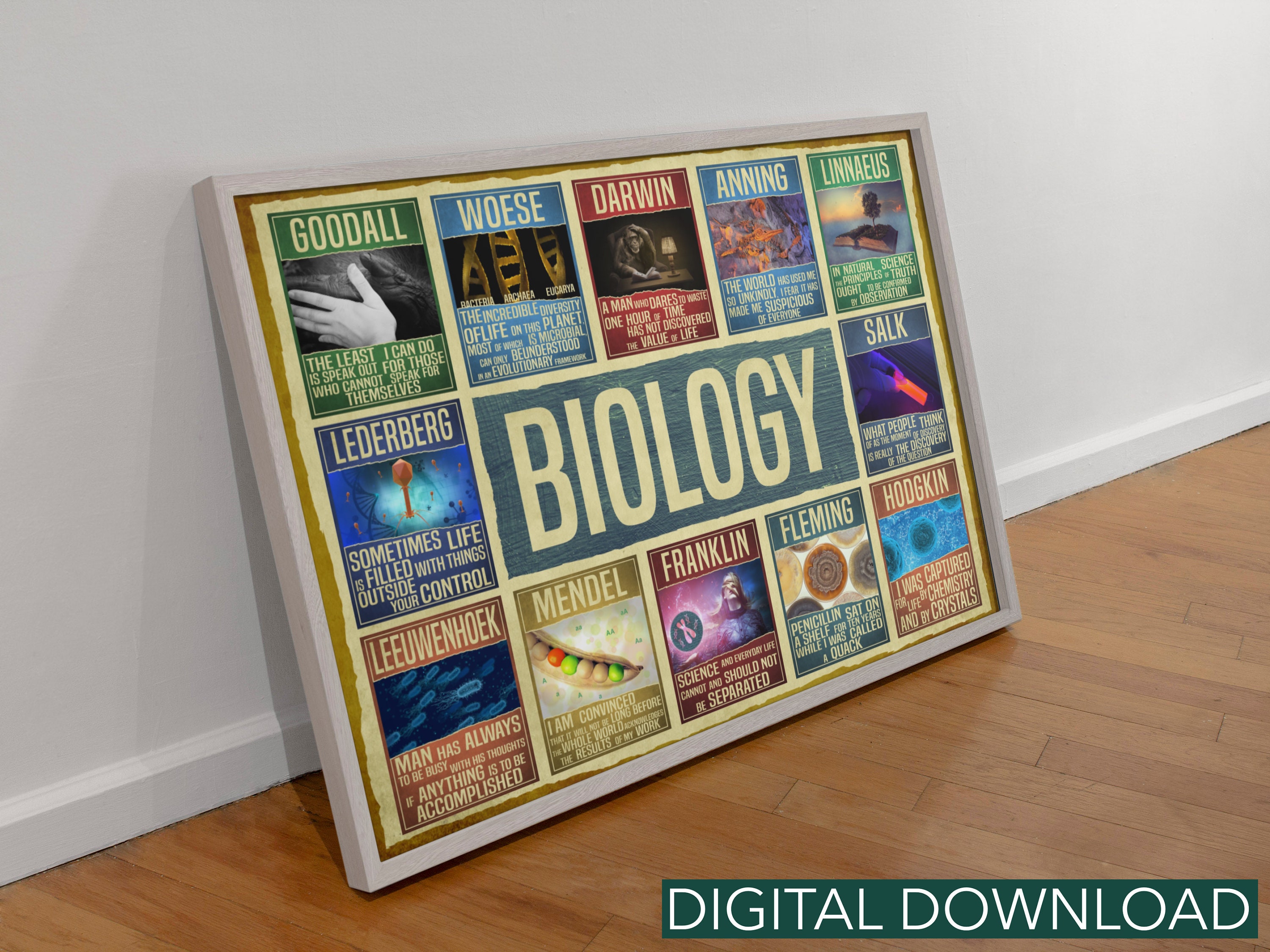 Science art biology poster college student gift / Biology art Etsy