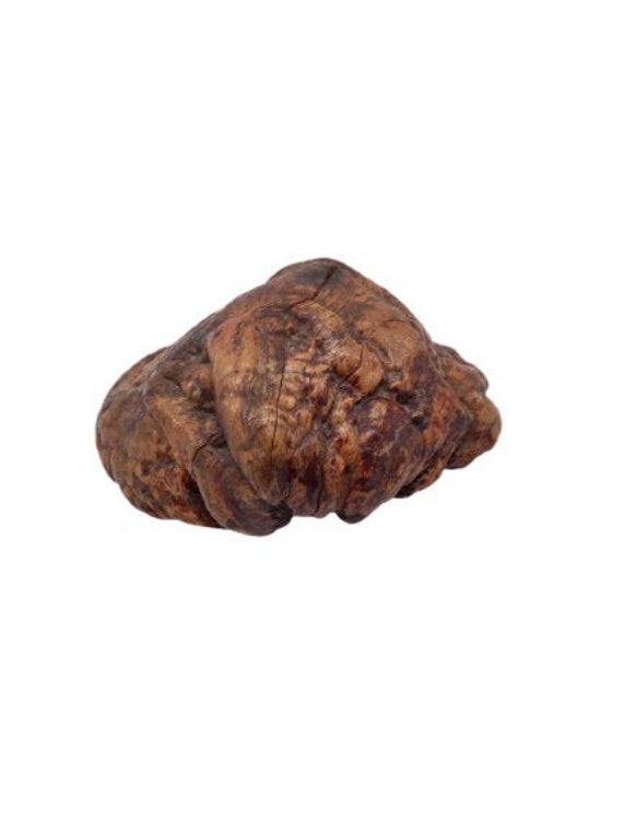 Vintage Burr Wood Organic Natural Desktop Sculpture Home Decor Shelf Display Decorative Room Office 