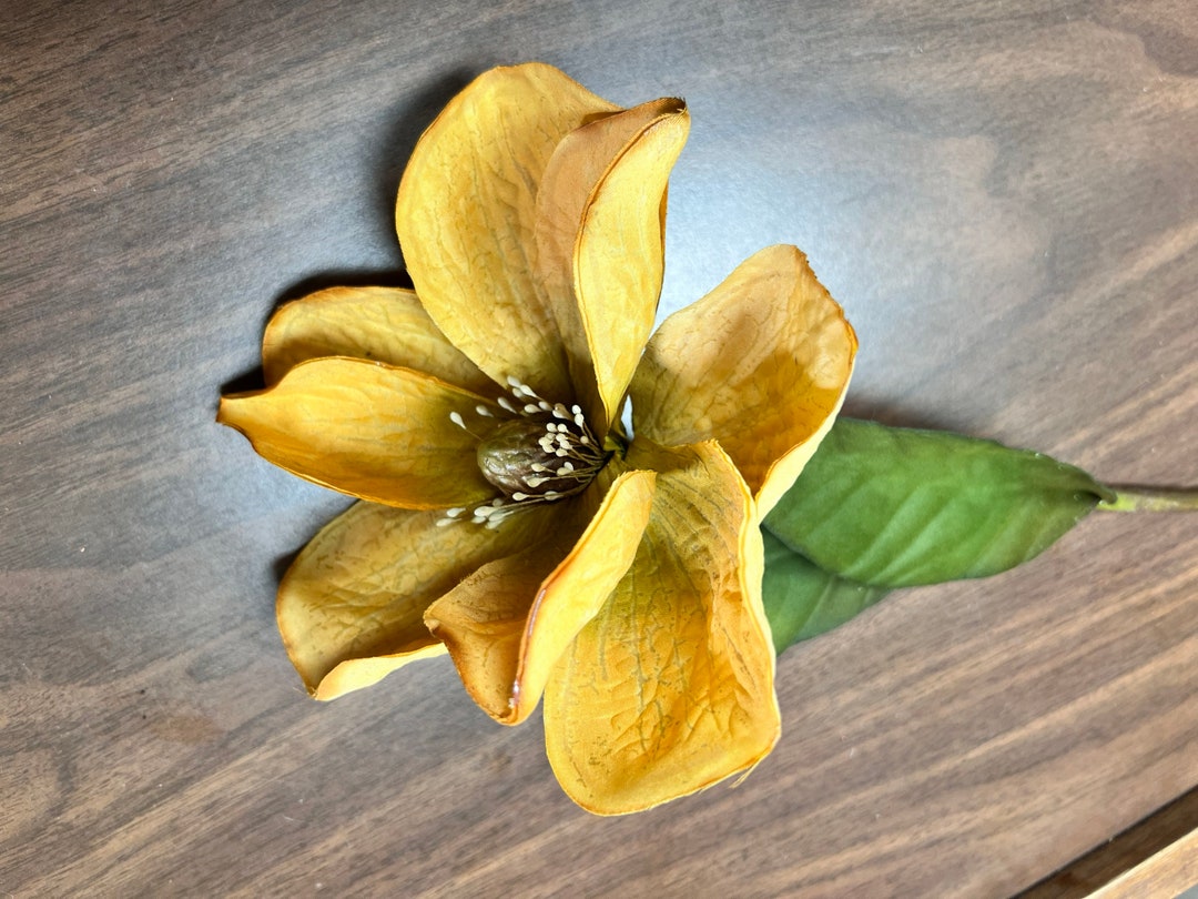 6cream Magnolia Floral Stem. Beautiful Magnolia Floral Stem Etsy