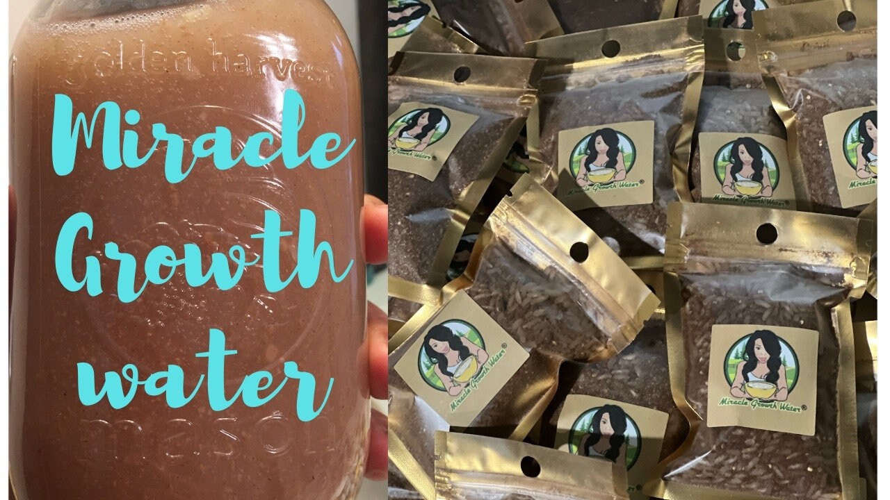Rice Water Hair Growth Treatment: Organic Miracle Growth