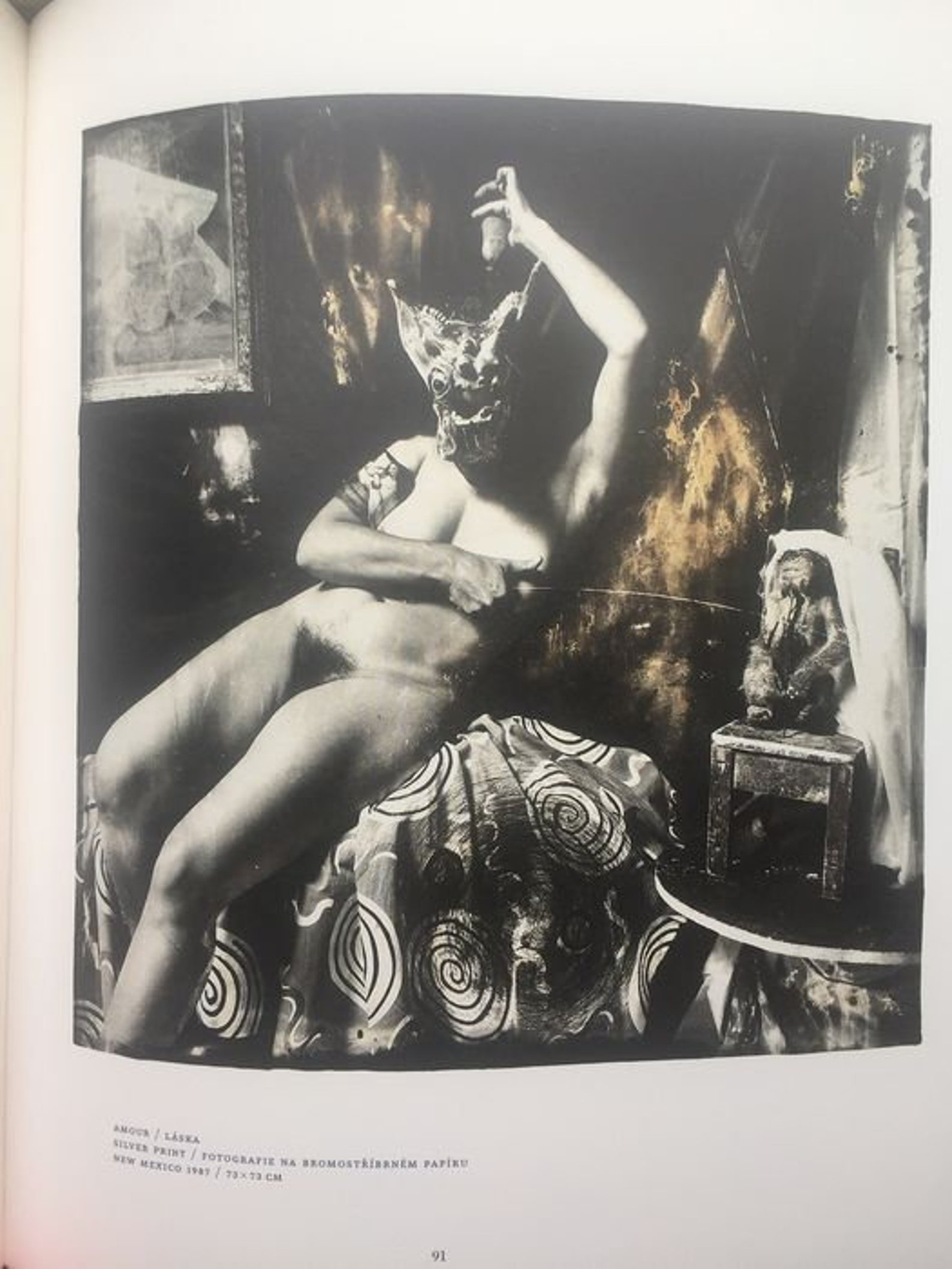JoelPeter Witkin Vanitas 2011 1st Edition Book Rare Etsy