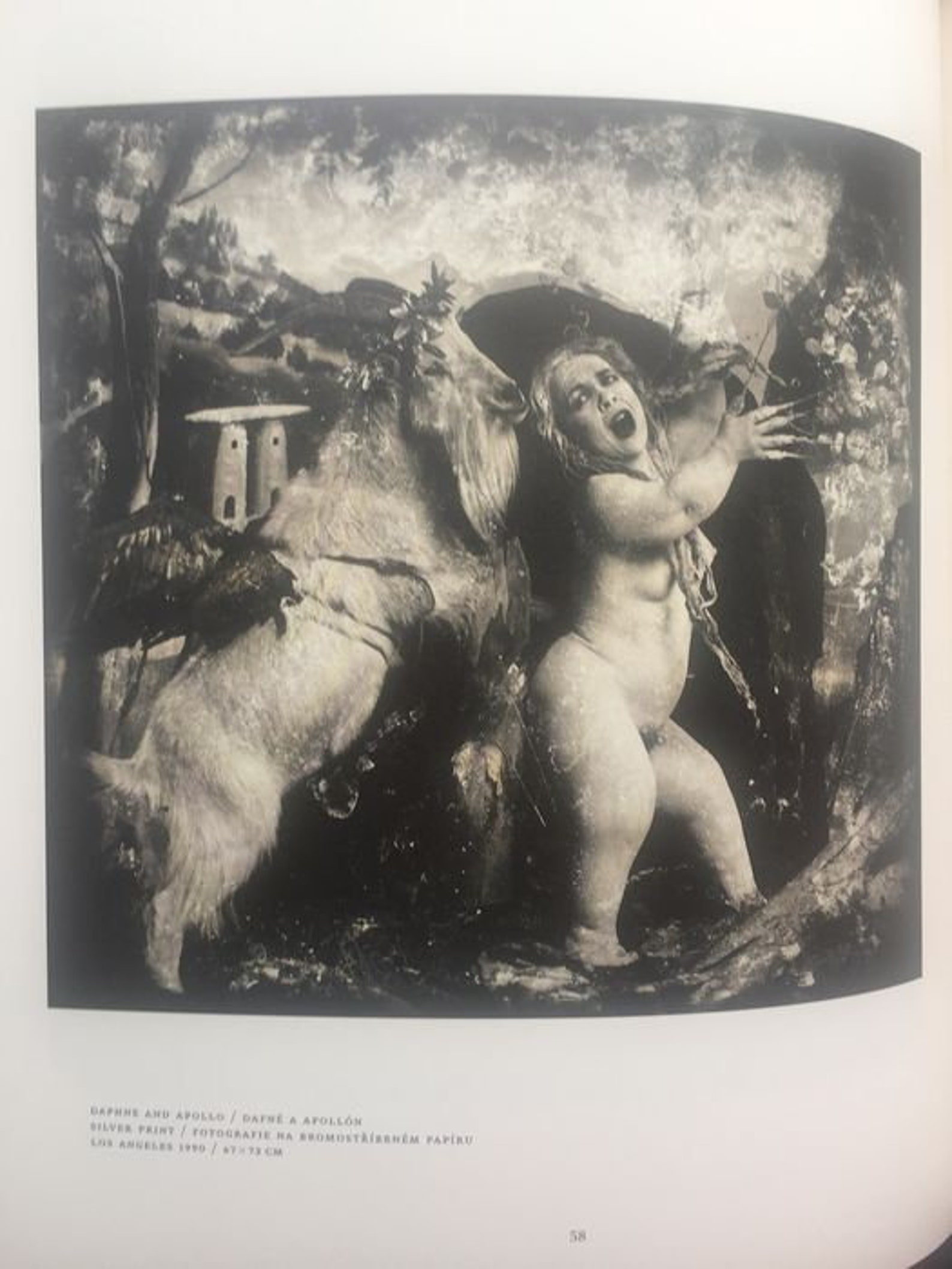 JoelPeter Witkin Vanitas 2011 1st Edition Book Rare Etsy