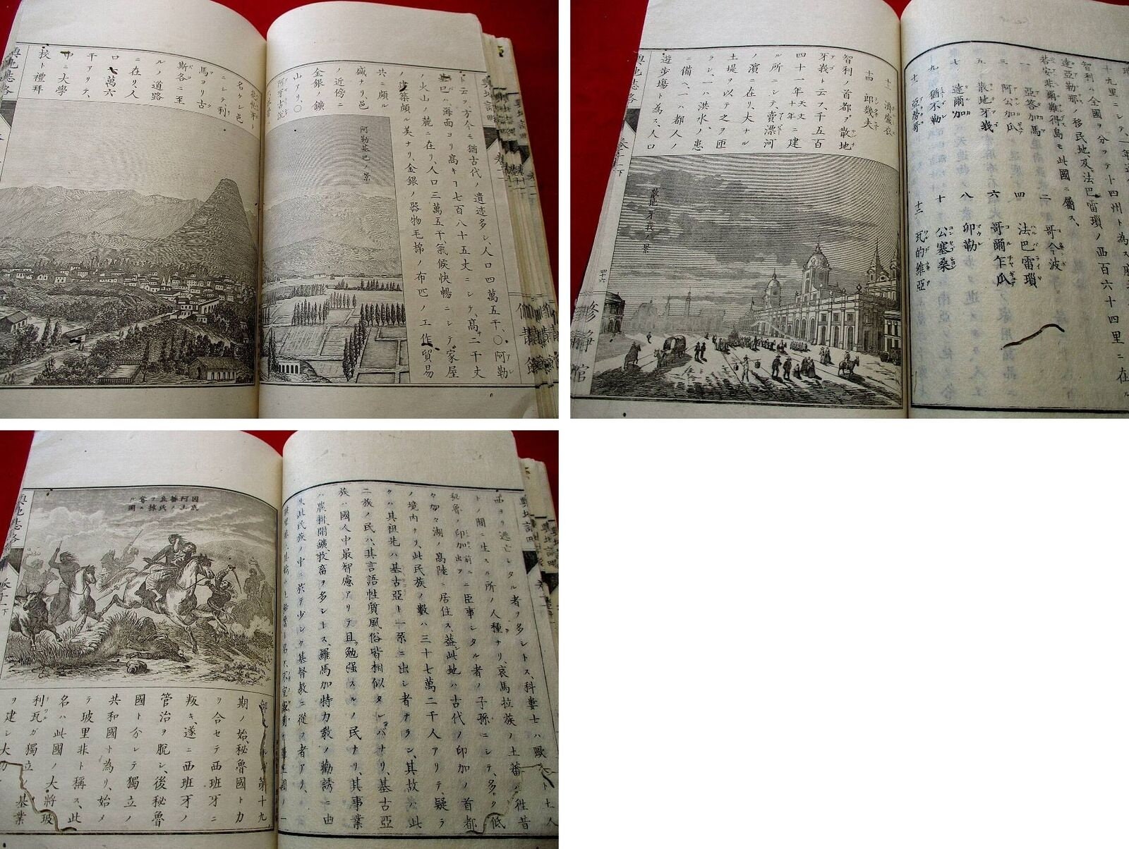 加特力