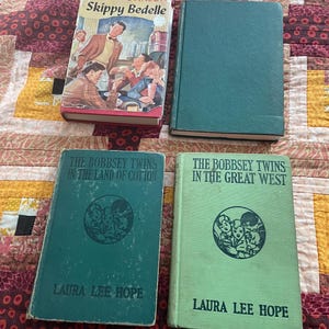 Die Bobbsey Zwillinge Bücher