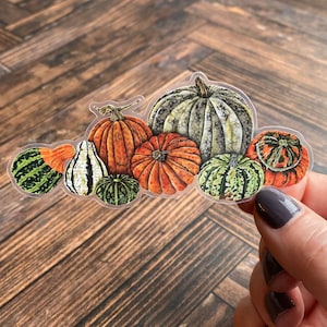 Pumpkins Sticker - Fall Autumn Halloween Thanksgiving Art - Gourds Watercolor Collage Painting - Gift - Vinyl - Waterproof - Weatherproof