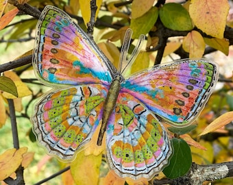 May include: A colorful butterfly with pink, orange, yellow, and blue wings is perched on a branch of a tree with autumn leaves.