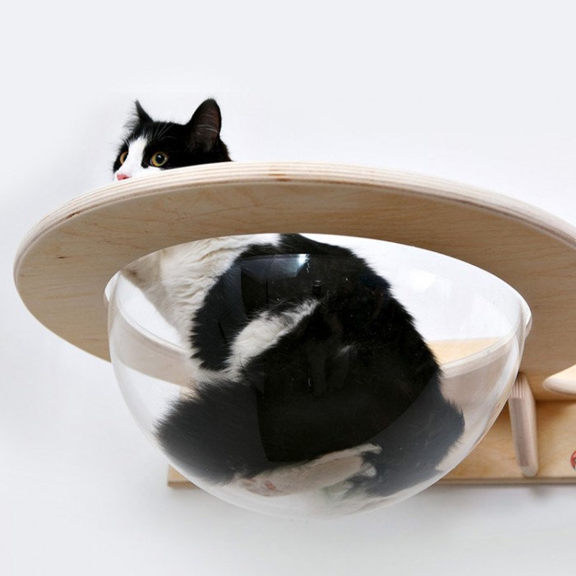 Wallmounted Transparent Chaise Lounge for Cats Etsy Australia