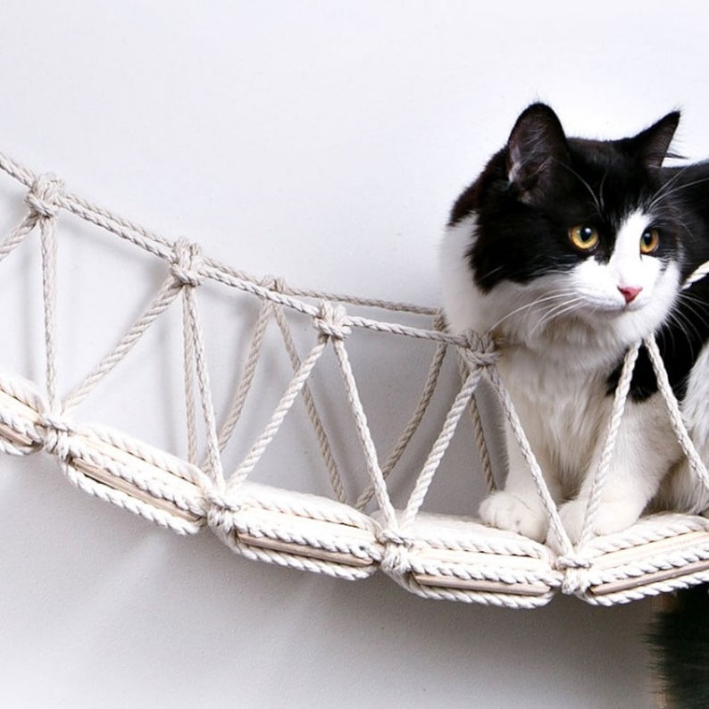 Cat way