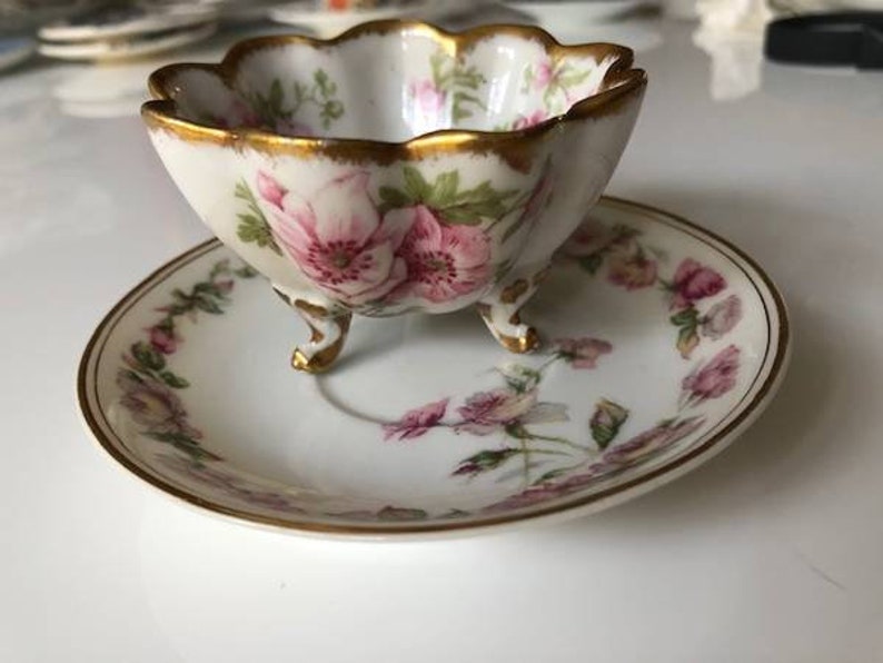 Limoges Antique Sugar Bowl and Plate Haviland and Co