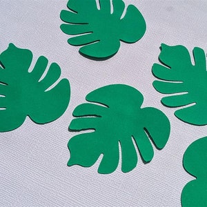 Coriandoli della giungla / Pezzi di coriandoli della giungla / Pezzi di foglie / Pezzi della giungla / Pezzi di coriandoli della giungla / Pezzi di foglie