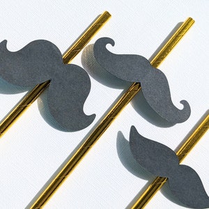 Canudos de Bigode | Toppers de cupcake de bigode | Bigodes | Decorações de festa com bigode | Confete de festa | Vestir-se | Loucura de bigode