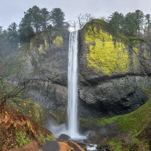 May include: A tall waterfall cascades down a moss-covered cliff face, with lush green foliage at the base. The cliff is a dark gray color, with streaks of yellow lichen.