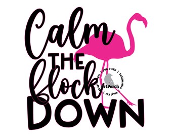 Flamingo PNG, Funny Flamingo PNG, Funny Shirt Design, Sublimation Design, DTF, Digital Download, Flamingo Clipart, Pink Flamingo