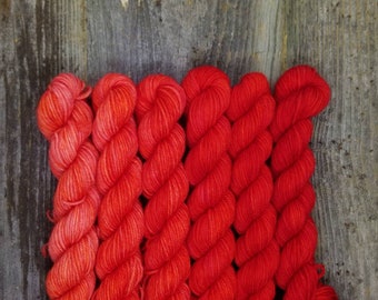 Red Gradient Sock Yarn Minis - 120 grams