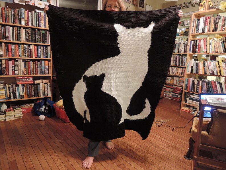 Cat afghan
