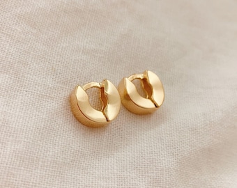 Puede incluir: Un par de pendientes de aro de oro. Los pendientes son pequeños y tienen un diseño sencillo.