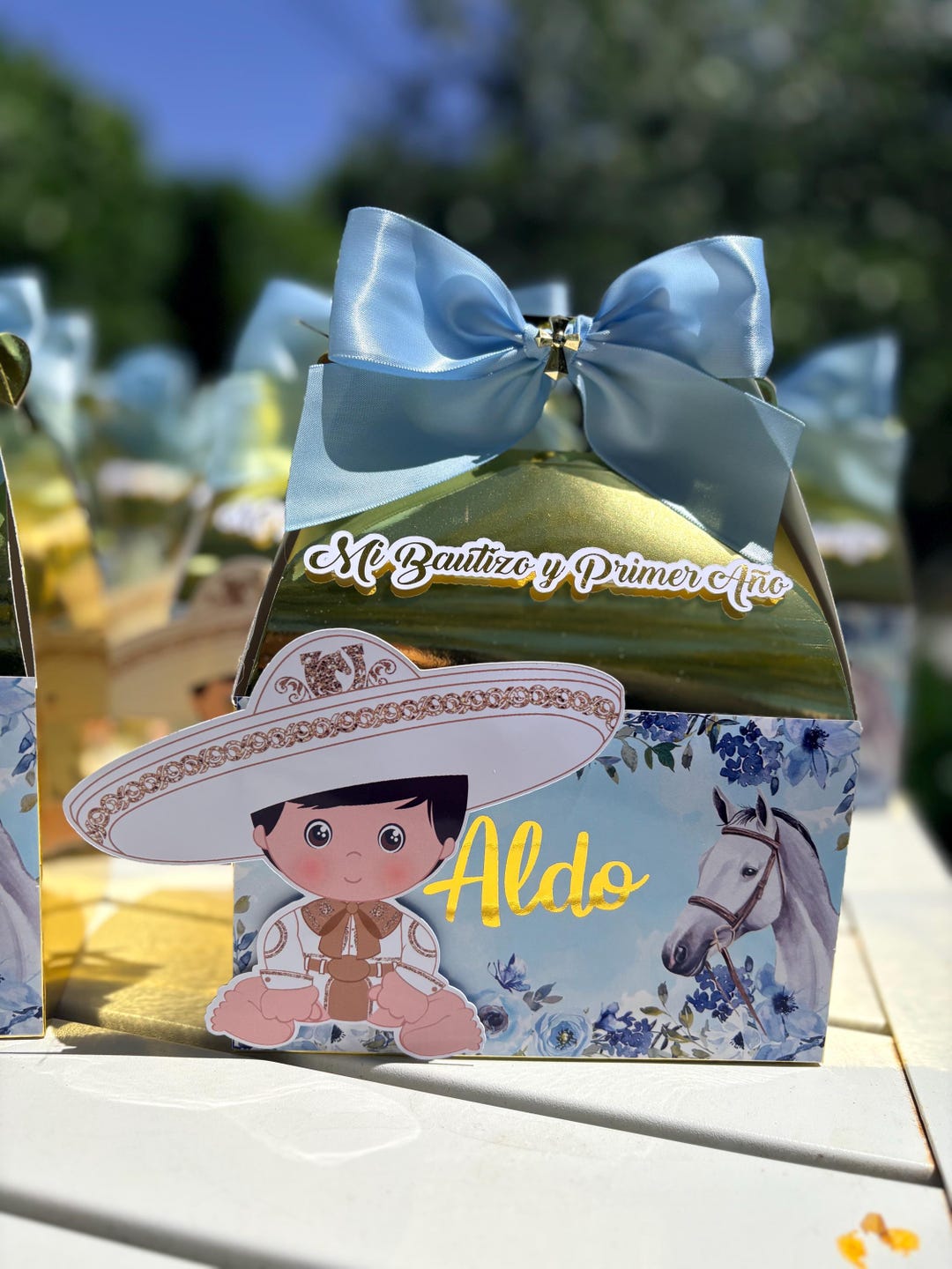 Pink Rodeo Theme Gable Box My First Rodeo Boy Favor Box or Gable Box, Any Theme Can Be Done. - Etsy