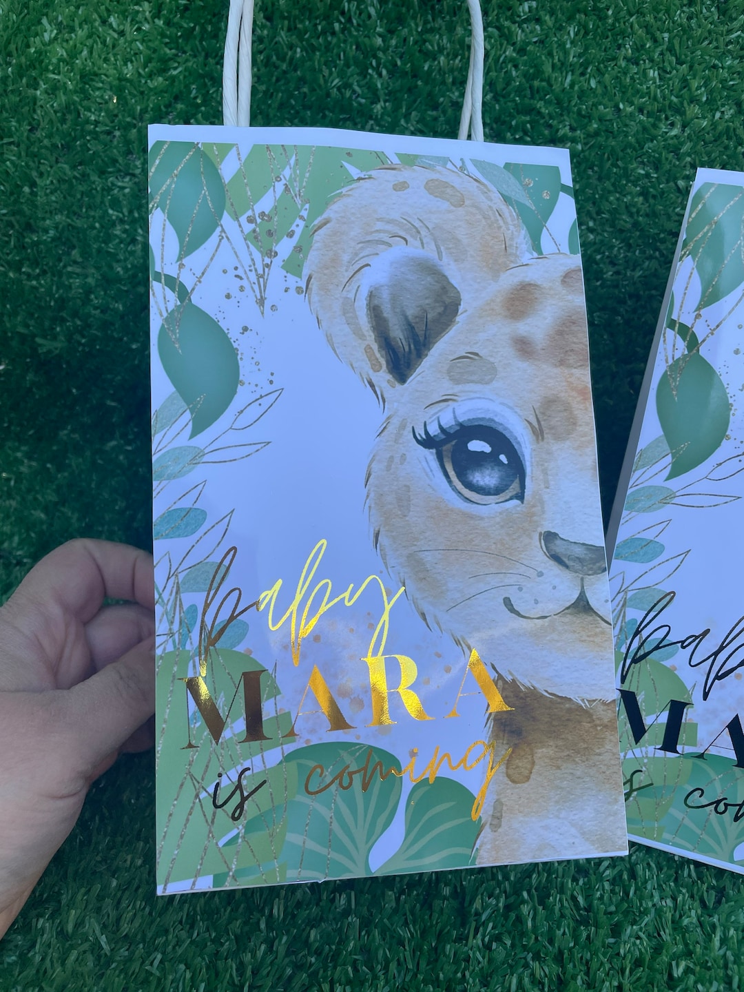 Safari Baby Shower Goodie Bags Any Theme Can Be Done. Etsy