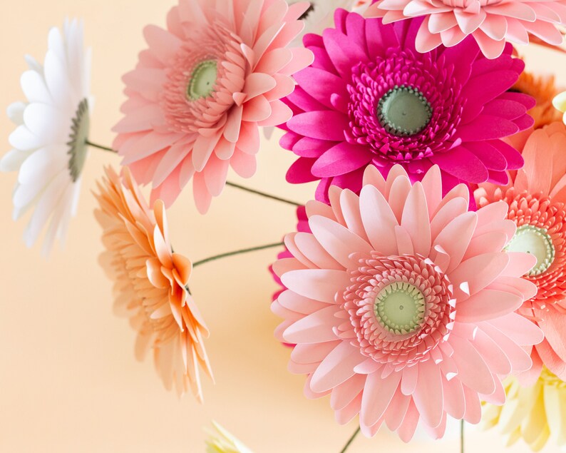 Free Free Cricut Daisy Flower Svg 480 SVG PNG EPS DXF File