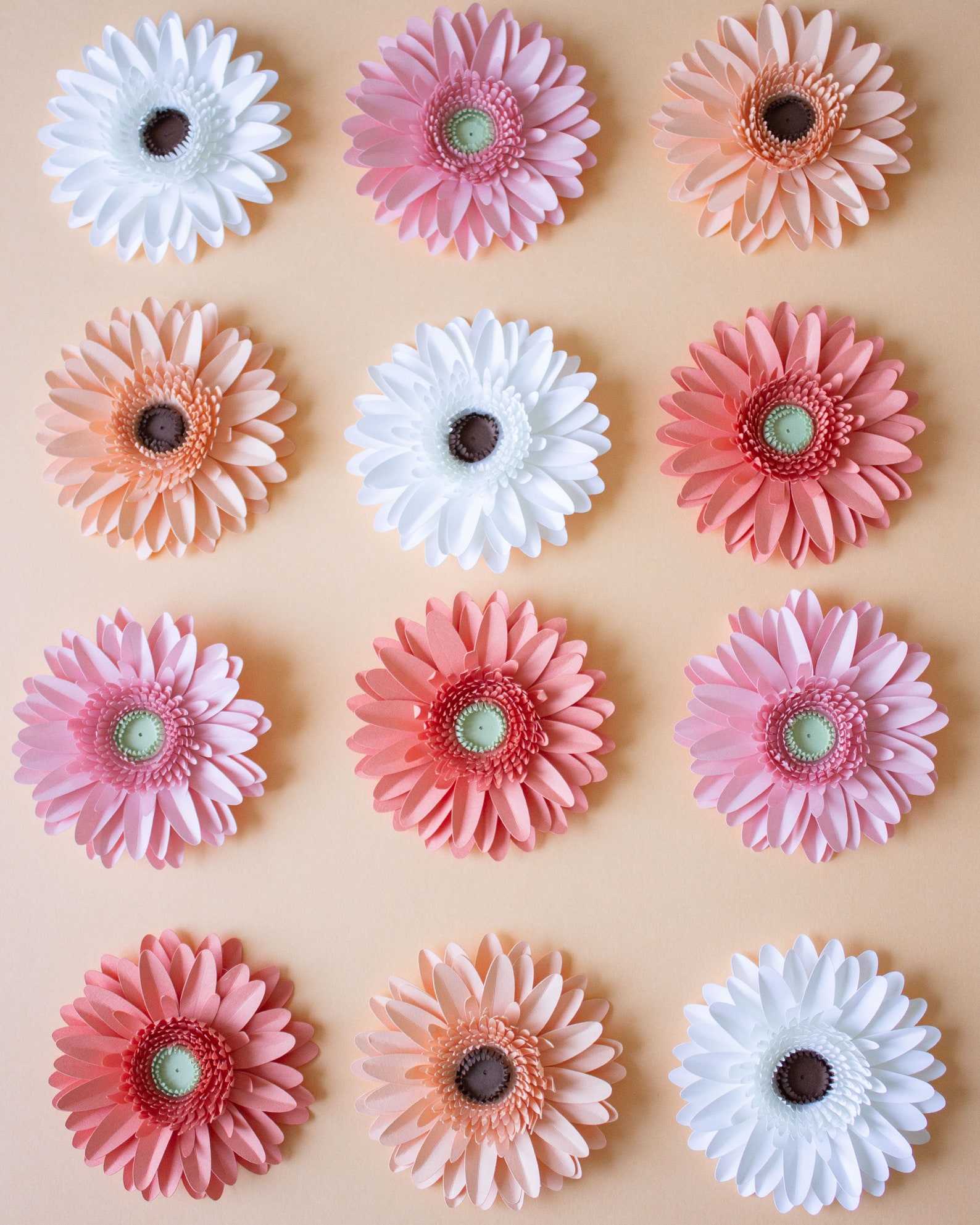 Paper Gerbera Daisy Flower SVG File Online for Cricut Etsy