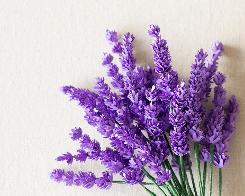 Download Paper Lavender Flower SVG File Online Workshop for Cricut ...