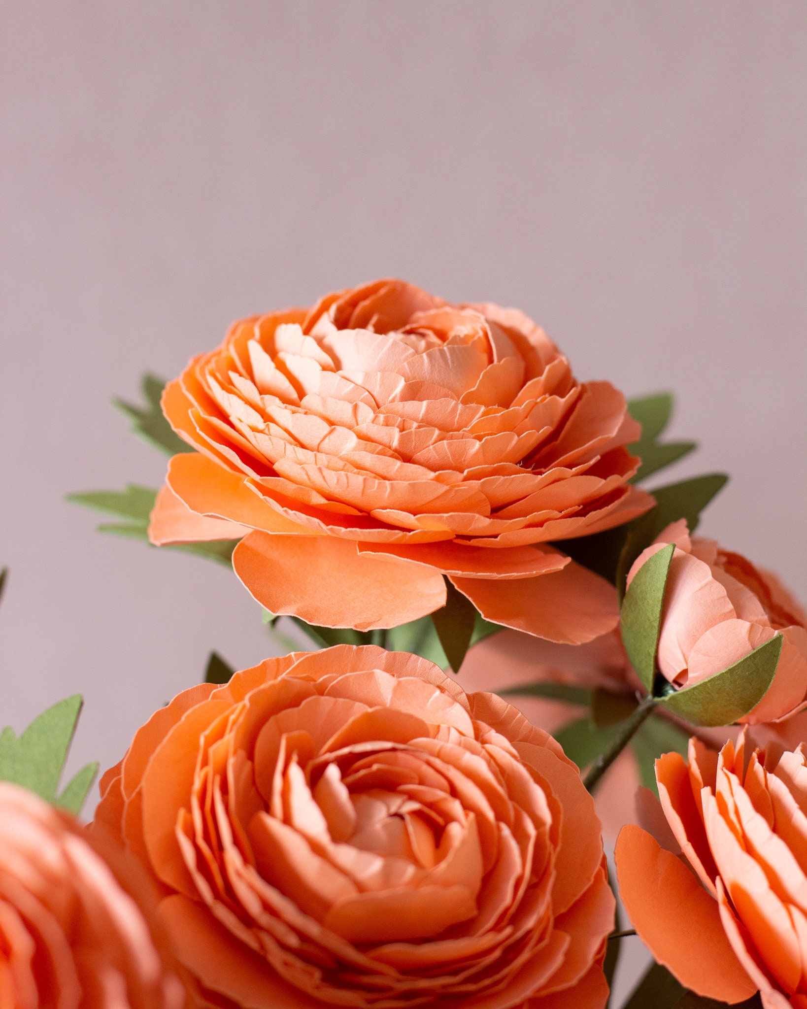 Paper Flower Ranunculus Paper Ranunculus Flower Online Workshop for Cricut and Silhouette ...