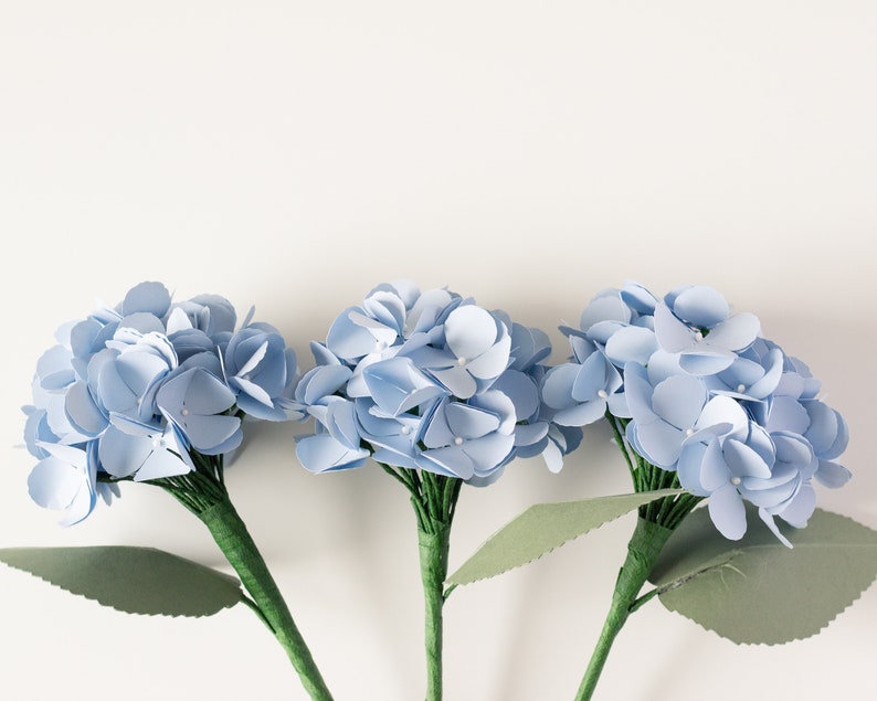 Paper Hydrangea SVG Online Workshop for Cricut and Silhouette - Etsy