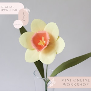 Puede incluir: Un archivo SVG de descarga digital para una flor de narciso de papel. La imagen muestra un narciso amarillo con un centro rosa, un tallo y una hoja verdes. El texto "MINI TALLER EN LÍNEA" está en la parte inferior de la imagen.