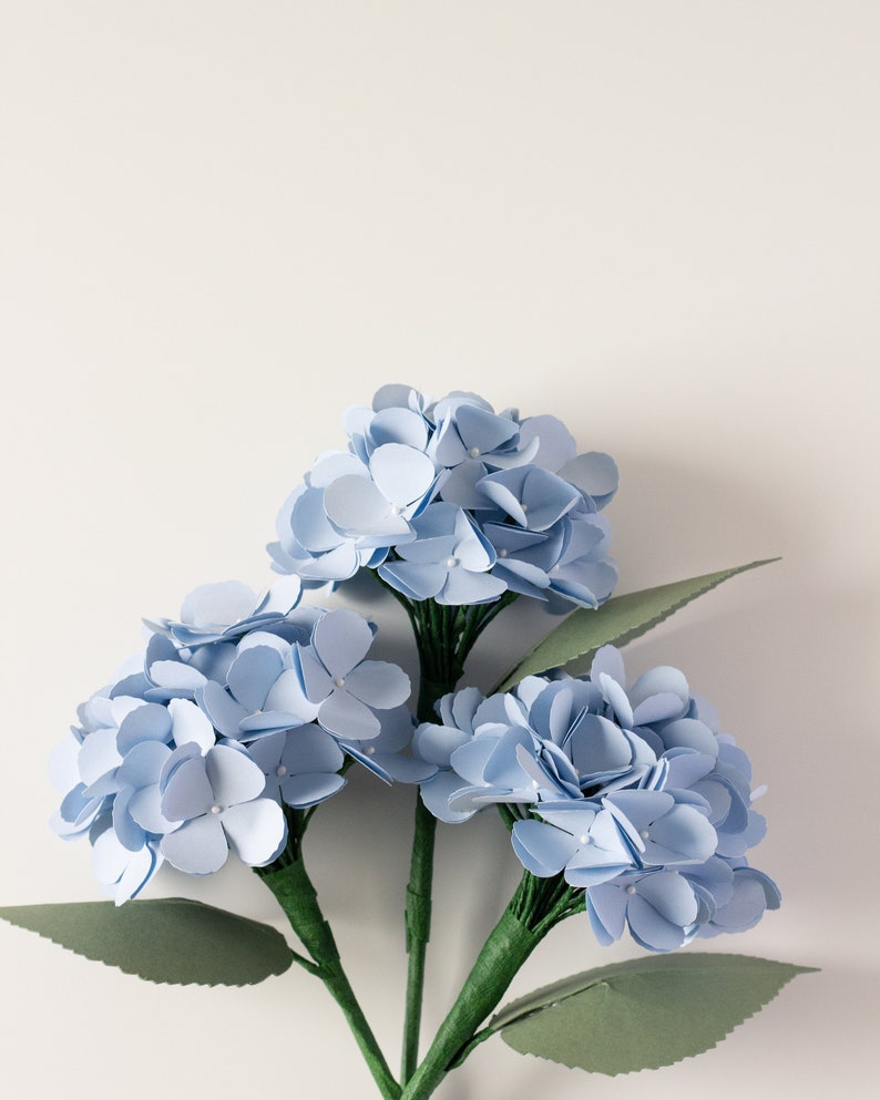 Paper Hydrangea SVG Online Workshop for Cricut and Silhouette - Etsy