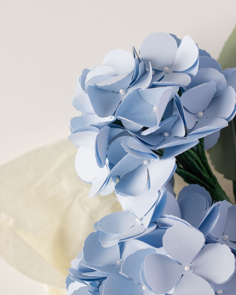 Paper Hydrangea SVG Online Workshop for Cricut and Silhouette - Etsy