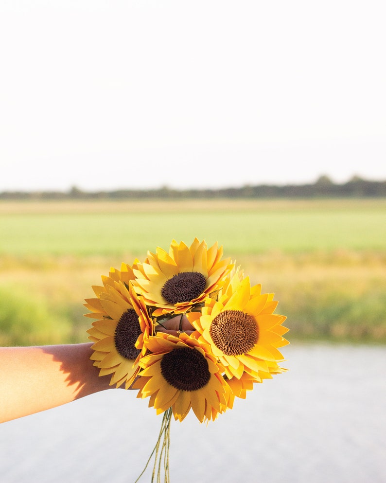 Free Free 228 Paper Sunflower Svg Cricut SVG PNG EPS DXF File