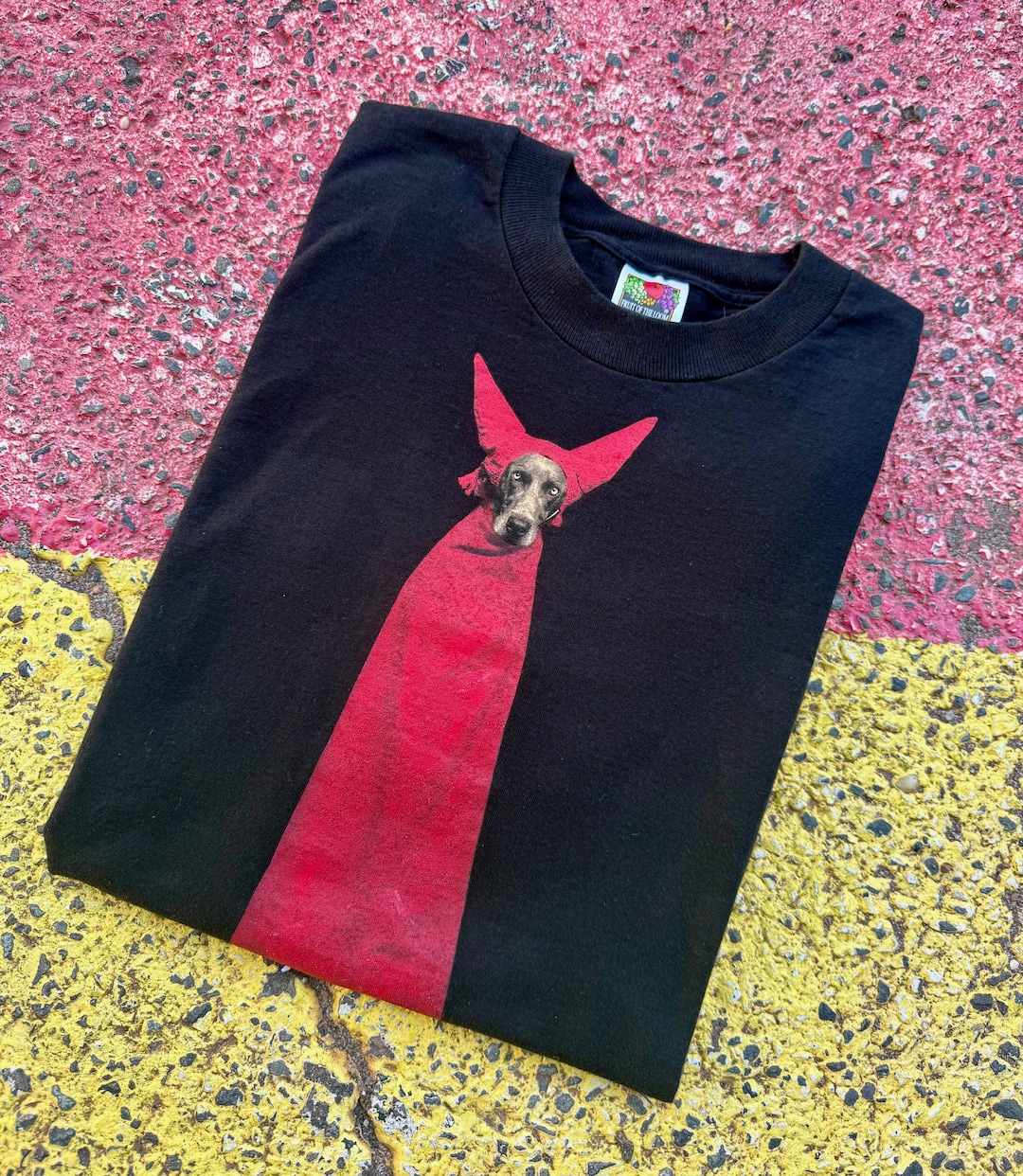 Vintage 1995 William Wegman Devil Dog Fotofolio Photograph Art