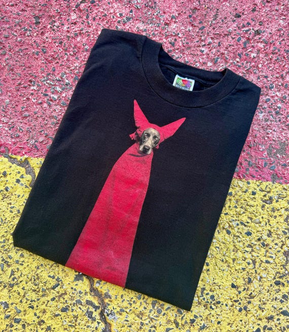 Vintage 1995 William Wegman Devil Dog Fotofolio Photograph Art