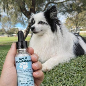 Puede incluir: Una botella de aceite calmante para perros Calm Companion se sostiene frente a un perro blanco y negro acostado sobre la hierba. La botella tiene una etiqueta azul con el texto "Calm Companion". La botella contiene 30 ml.